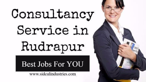 Consultancy Service in Rudrapur Uttarakhand