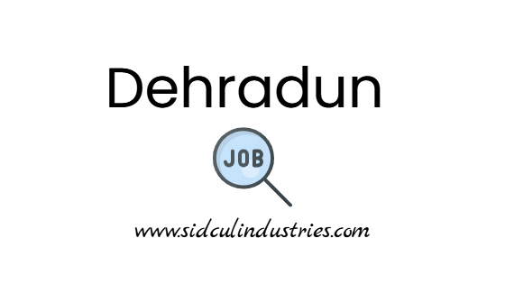 Admissions Counselor at Dev Bhoomi Uttarakhand University in Dehradun