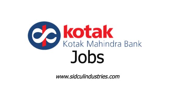 Service Delivery Officer Job Kotak Mahindra Bank in Rudrapur