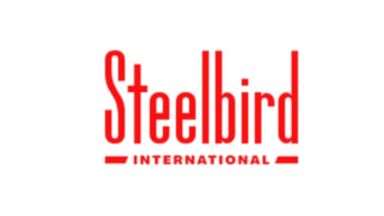 Lab Technical Manager (Filter Plant) at Steelbird International in Rudrapur, Uttarakhand