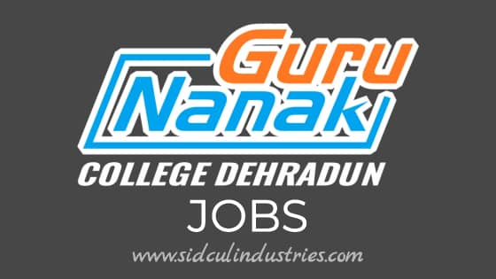 Guru Nanak College Dehradun Jobs