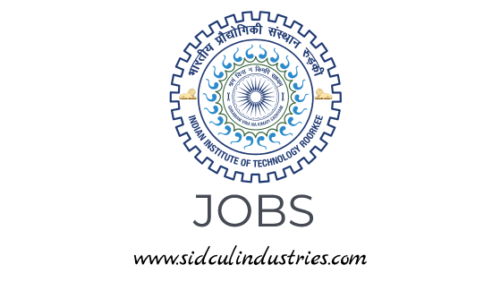Indian Institute of Technology Roorkee jobs - Junior Research Fellow