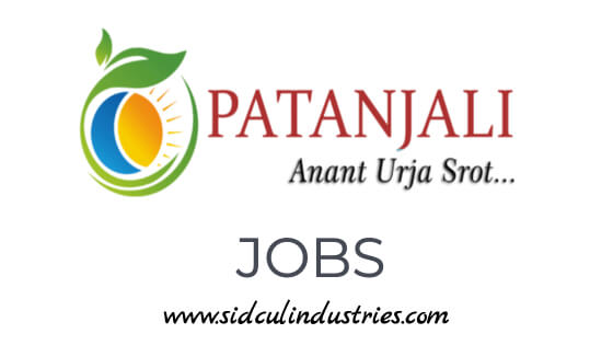 Embedded System Developer & Hardware Designer (Linux Programming) at Patanjali Renewable Energy Pvt Ltd. in Haridwar, Uttarakhand