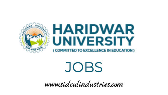 Placement Officer at Haridwar University in Roorkee, Uttarakhand Placement Officer at Haridwar University in Roorkee, Uttarakhand